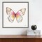 Colorful Breeze XI (Butterfly) by Lisa Audit 16-in. W x 16-in. H. Canvas Wall Art Print Framed in Grey